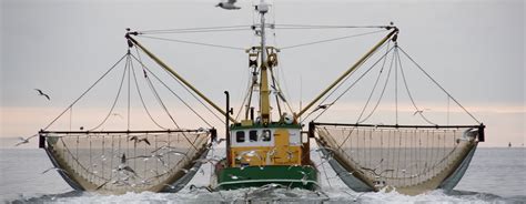 Commercial Fishing .